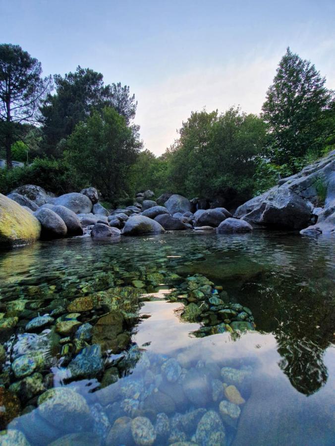La Estrella De Gredos Daire Guisando Dış mekan fotoğraf
