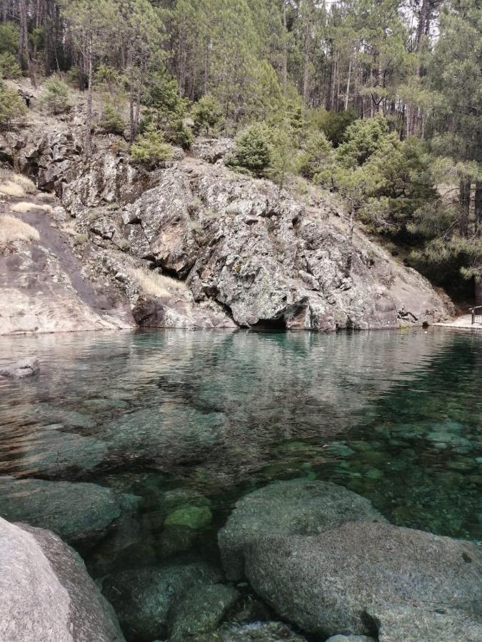 La Estrella De Gredos Daire Guisando Dış mekan fotoğraf